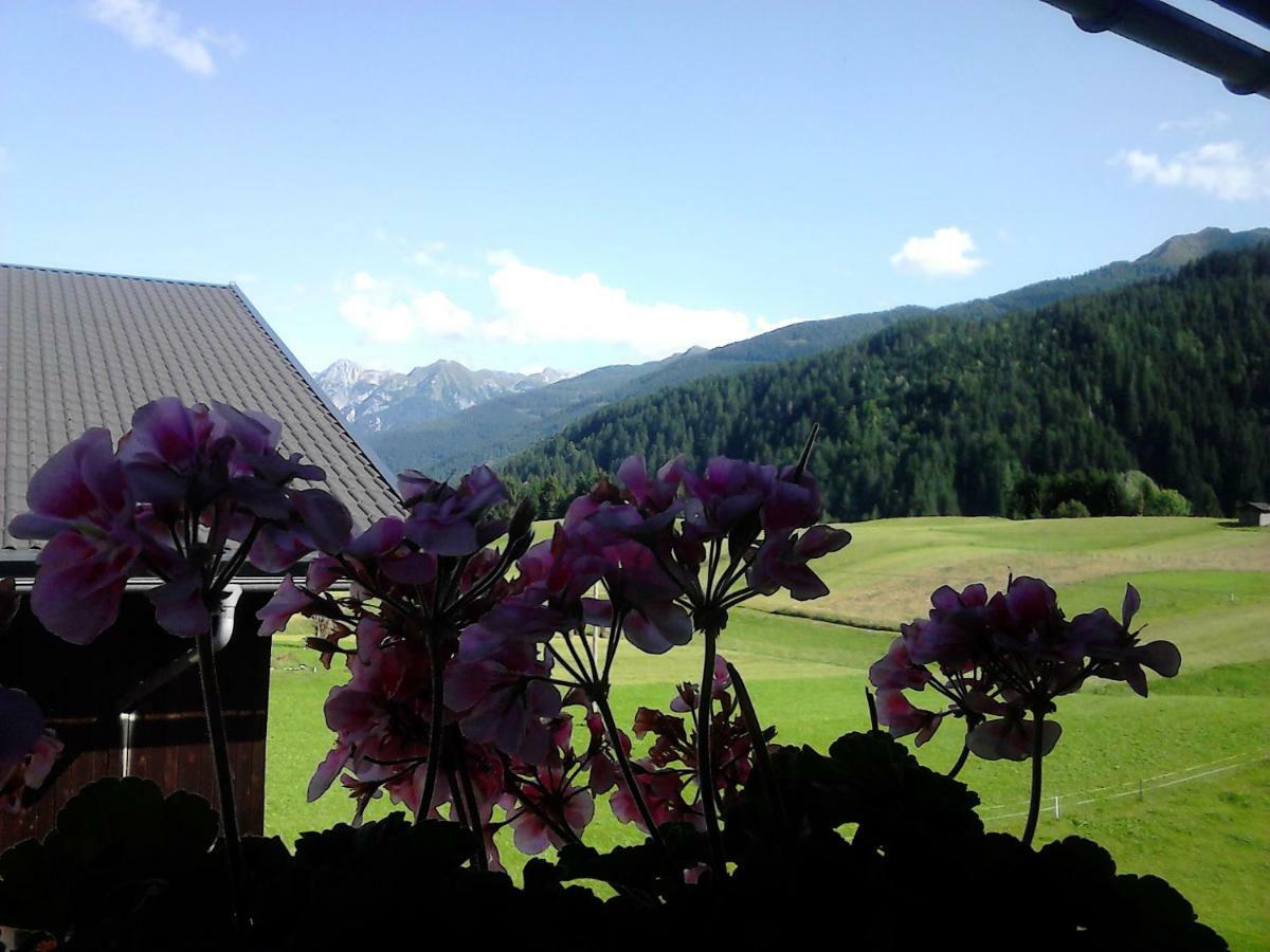 Pension Anderlehof Sankt Lorenzen im Lesachtal Exteriör bild