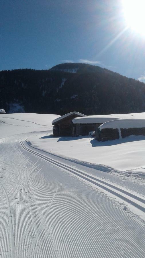 Pension Anderlehof Sankt Lorenzen im Lesachtal Exteriör bild